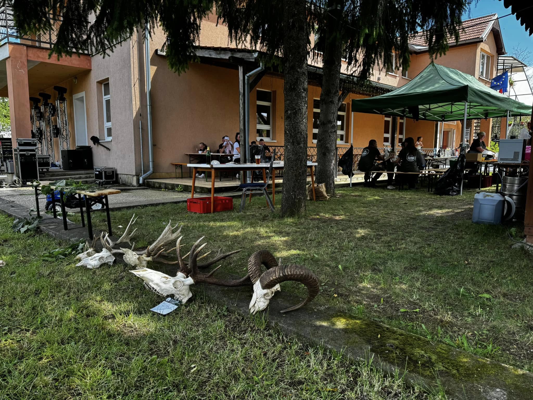 74142_15.jpg