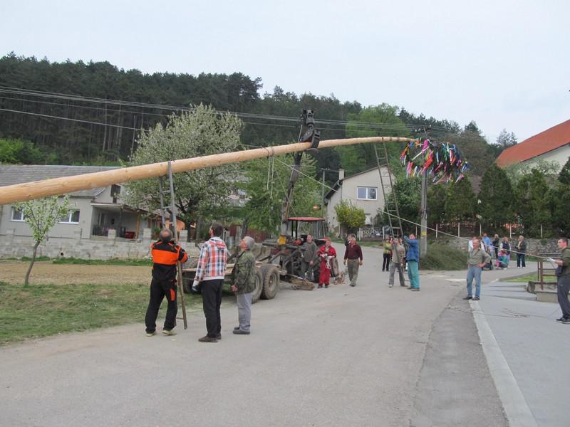 0003e_i_3202007.jpg