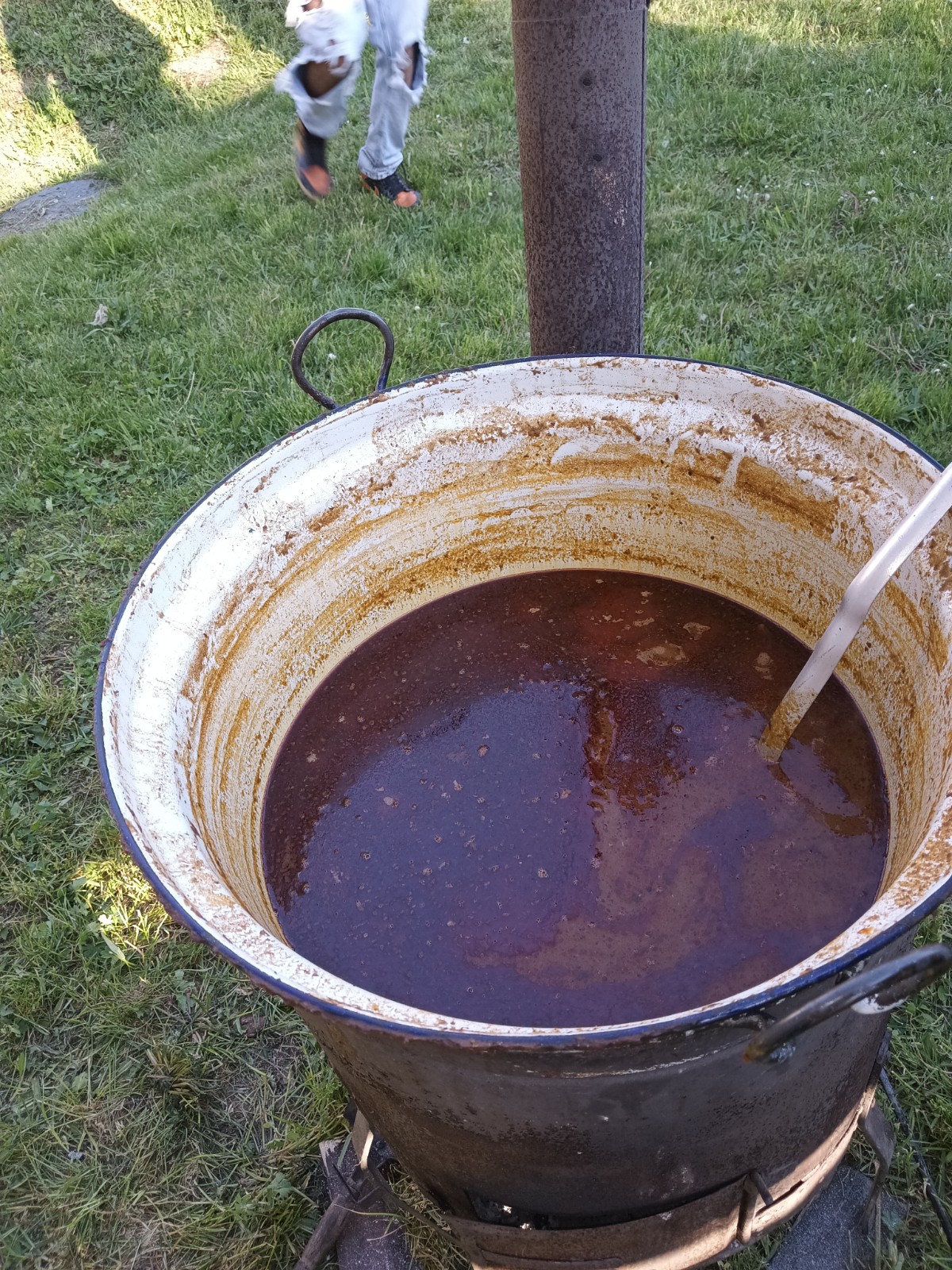 13f81_i_7183410.jpg