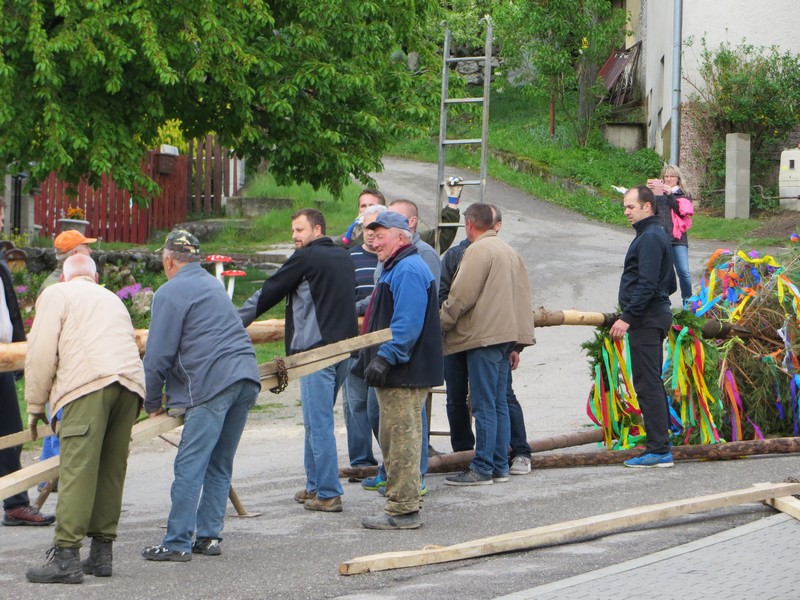 7d751_i_5586497.jpg