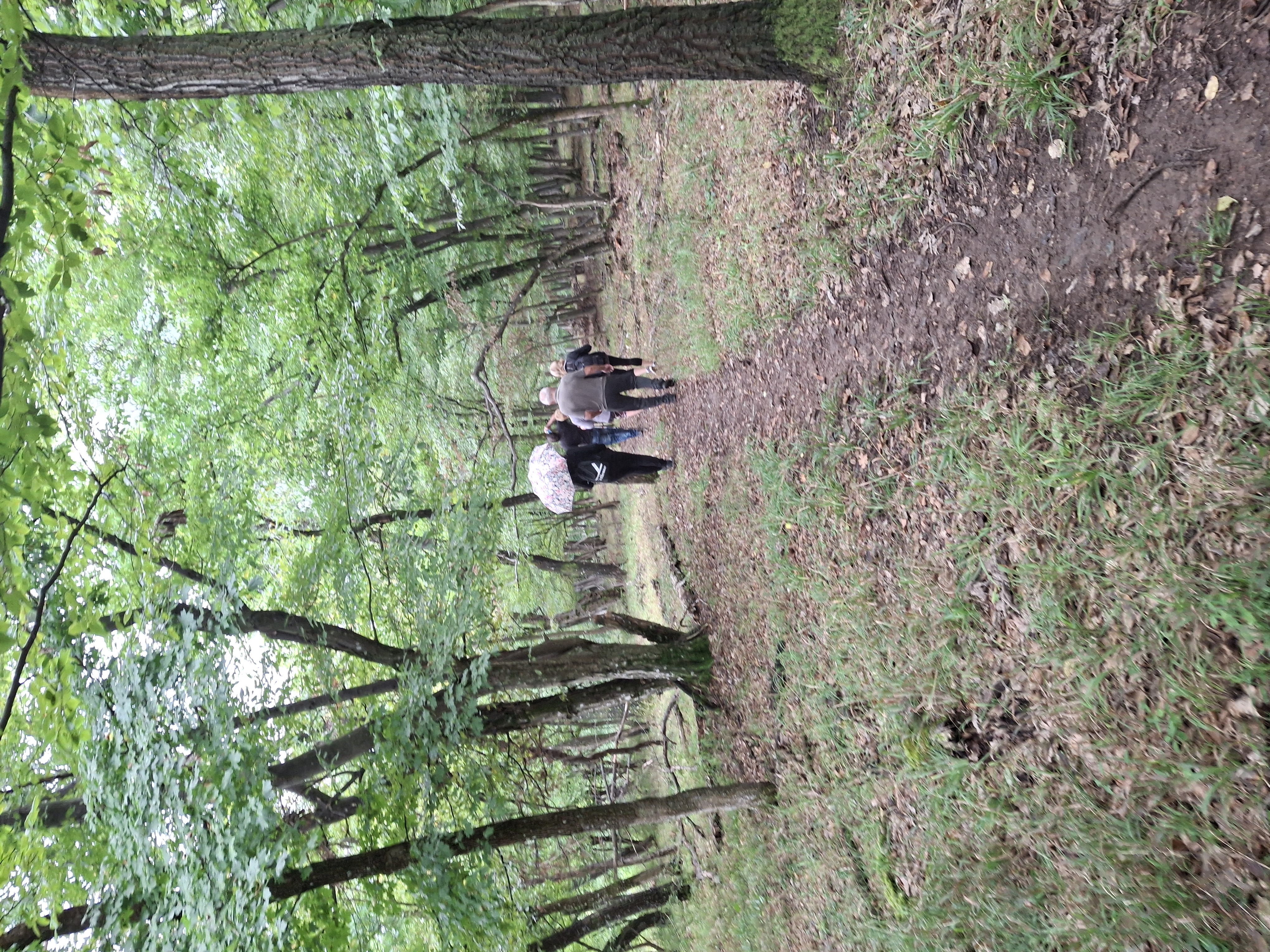 fa7cb_20250913_161401.jpg