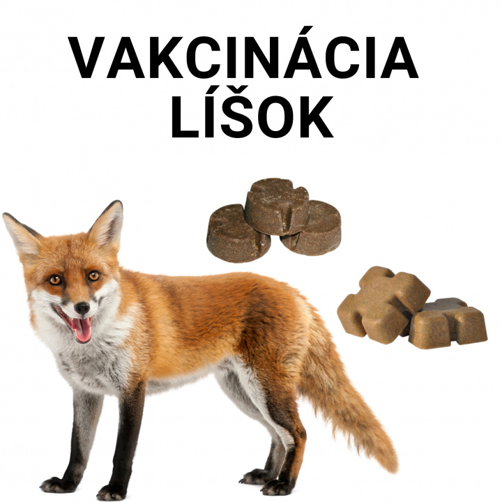 Vakcinácia líšok proti besnote