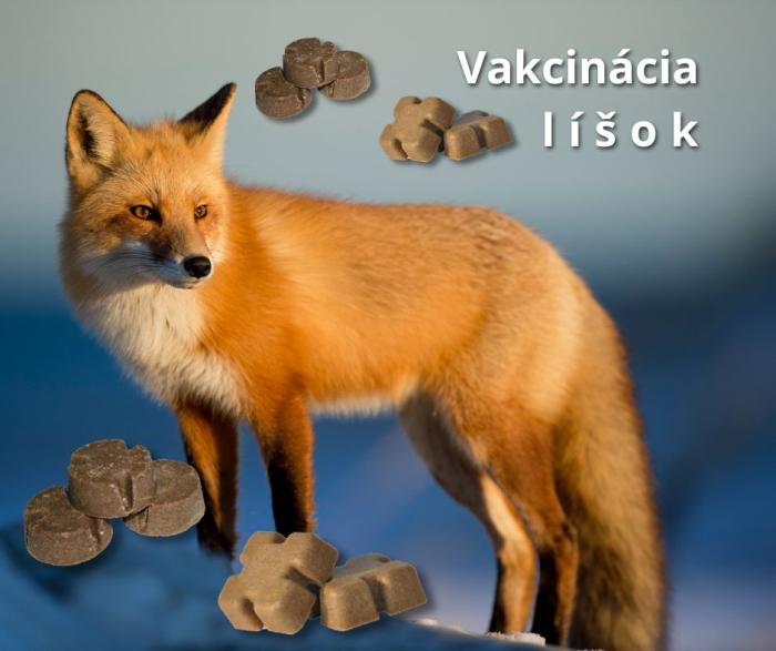Vakcinácia líšok proti besnote