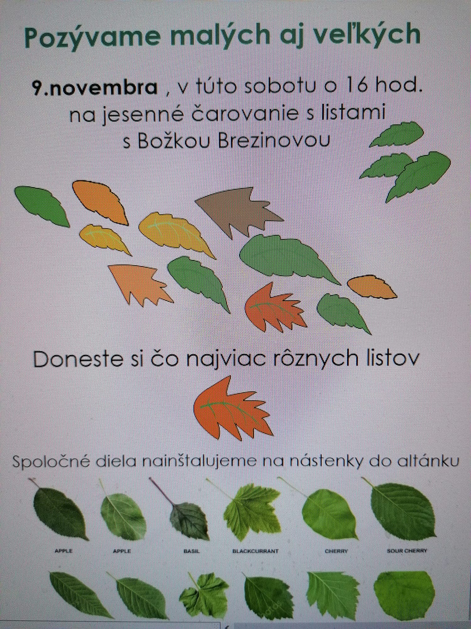 Čarovanie s listami s Božkou Brezinovou