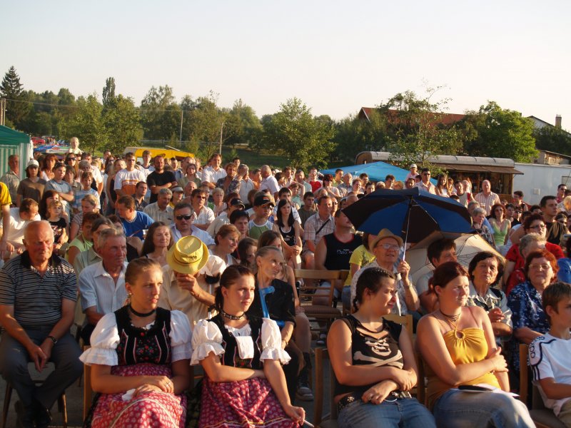Festival národnosti 2007