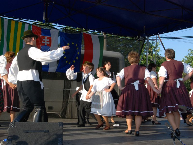 Festival národnosti 2009