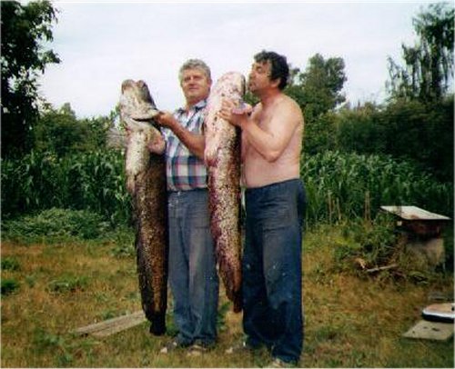 Rybolov