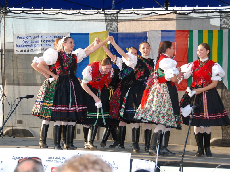 Festival národnosti 2008