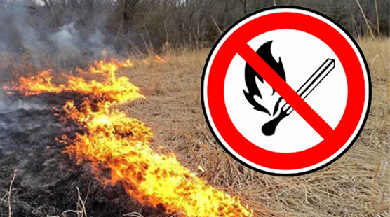 Zákaz vypaľovania trávnatých porastov
